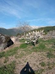 Wohngrundstück in Paraje tejar 36