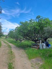 Fondo rustico in N/a. Inmobiliaria tasarenas vende finca con casa
