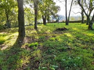 Terrain résidentiel à Tui