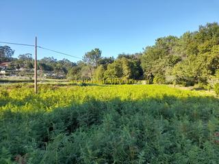 Rural plot in Tomiño