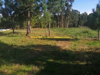Affitto Terreno residenziale  O cerquido-san salvador de budiño
