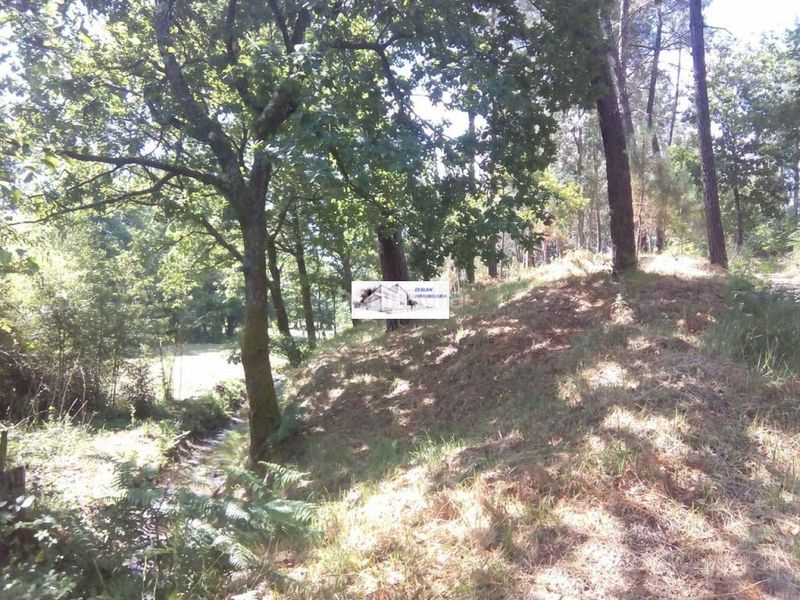Foto 419b5db8-40c6-4b69-9613-da9dd03ef09d. Finca rústica a Tomiño