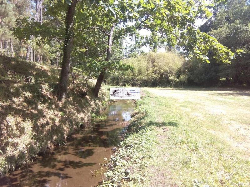 Foto 5722ce01-d7fa-4ab7-87ad-0fccebf4a67e. Finca rústica a Tomiño