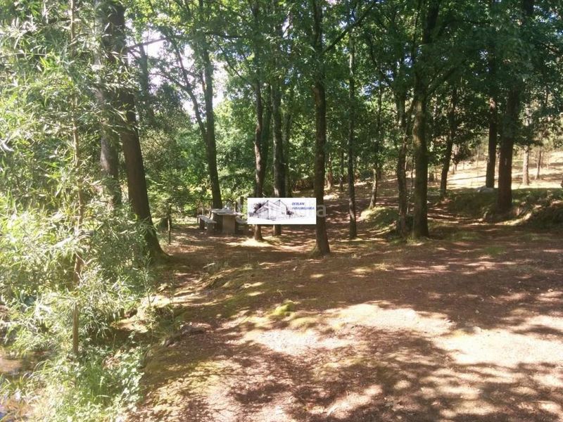 Foto 74d6efae-e582-4838-8f21-c7dd2d74d7f9. Finca rústica a Tomiño