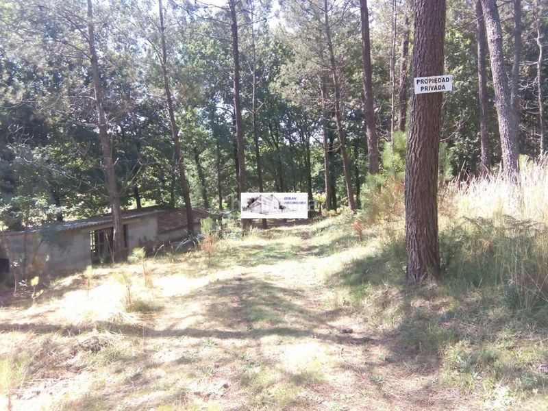Foto 84a4e1c6-bdb6-4e9c-92be-f180b15ae9dd. Finca rústica a Tomiño