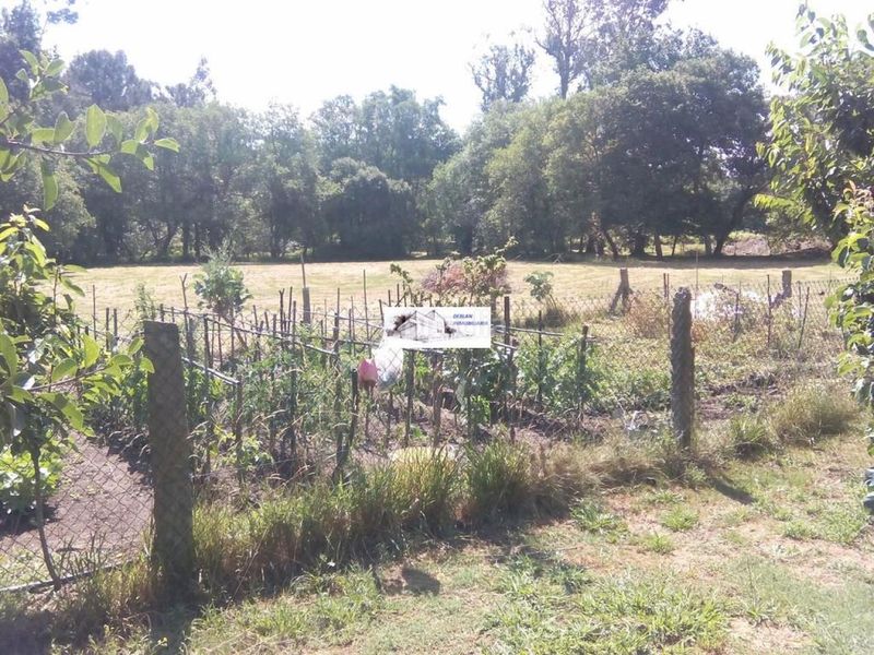 Foto b29bc373-dbf0-4d08-ae63-2c12a730ae82. Finca rústica a Tomiño