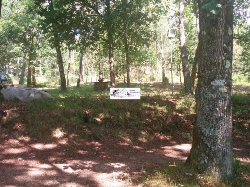 Foto bc3e0a61-71e6-4a63-b00c-8dc200a5b5d2. Finca rústica a Tomiño