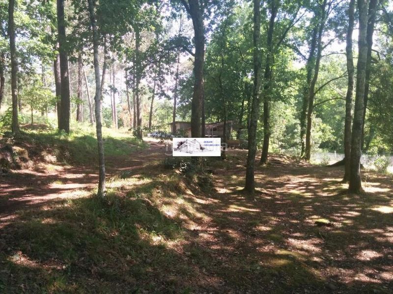 Foto e267d47d-d6b8-454b-b9bb-c47b9bc963a5. Finca rústica a Tomiño