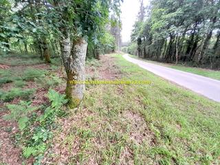 Rural plot in Tui