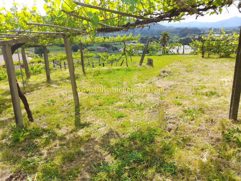 Foto e92934f7-b28d-4aee-a61a-000e29c2527a. Finca rústica en Tomiño
