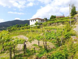 Wohngrundstück in Tomiño