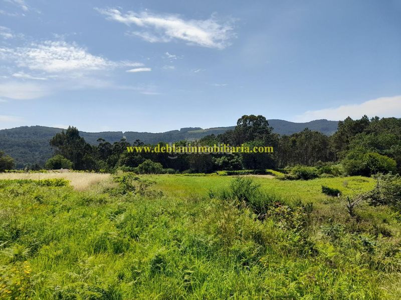 Foto 448ade4f-4576-4393-a2c9-8f484d16a4f7. Finca rústica a Tui
