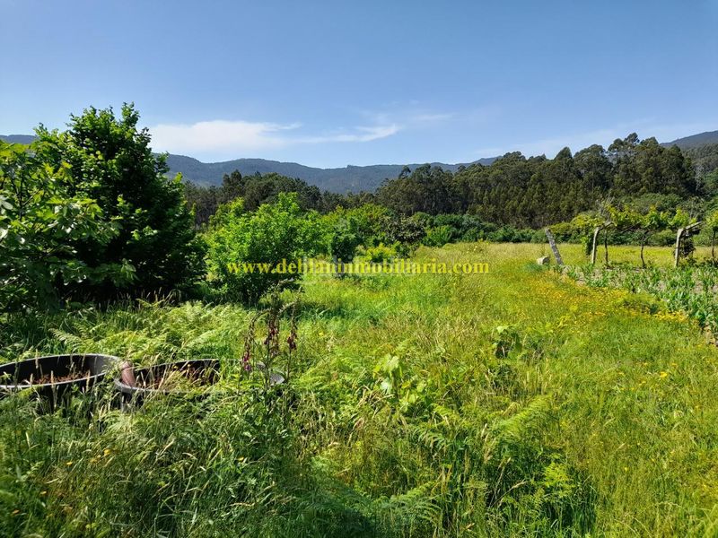 Foto af8f8f5e-595b-47d5-88c9-297e17c6ac14. Finca rústica a Tui