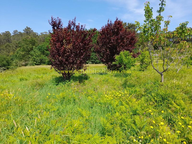 Foto af949b95-7765-4fe2-92c9-c547ae305f62. Finca rústica a Tui