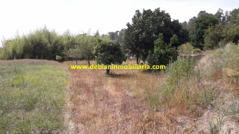 Foto 8ef6d017-dd18-4bea-abeb-6395b16ffff7. Finca rústica a Tui