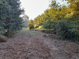 Terreny residencial a Tui
