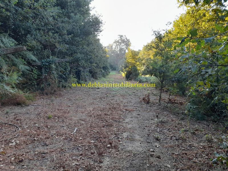 Foto de7ad5f1-bd75-4d4c-b078-cd4e5fef6750. Finca rústica a Tui