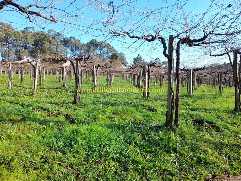 Foto ae4707e5-5ba6-4412-ab0e-ae11e2e0588e. Finca rústica en Tomiño