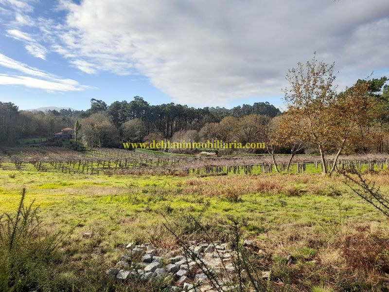 Foto fc1a2e8a-e90a-44c9-9434-a844a4bb9bac. Finca rústica en Tomiño
