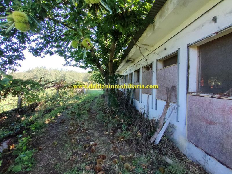 Foto 1f50a86b-cd8c-4fc8-b57b-8b0eac25a489. Terreny residencial a Tui