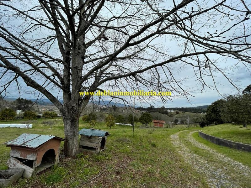 Foto 5e33d421-d7fb-492f-9d40-540ab608991e. Terreny residencial a Tui