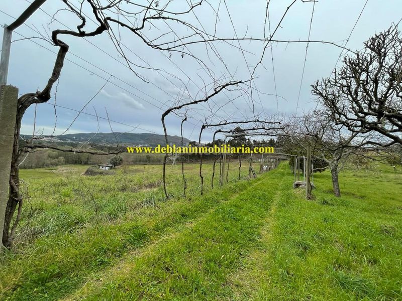 Foto 7ba92971-3a43-44d5-9835-06634f2afa97. Terreny residencial a Tui