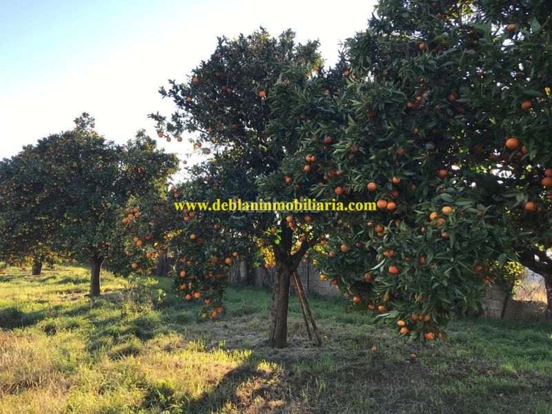 Foto e20f851f-f4da-4822-a230-6ed695cd0c46. Terreny residencial a Tui