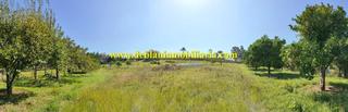 Terreny residencial a Tui. Ubicada en valença, quinta do forte con terreno de 22.600 m2