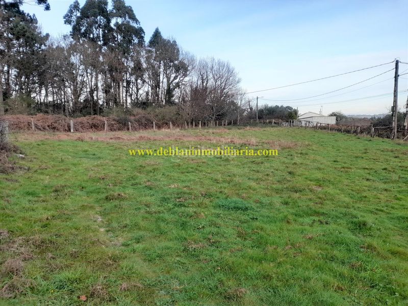 Foto 03c2112c-ecbb-4952-a3ff-f56f69850220. Terreny residencial a Tui