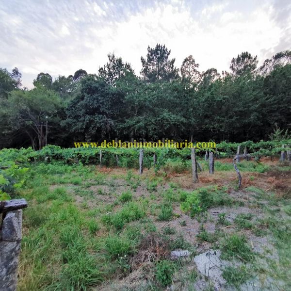 Foto 4af72354-1164-4fa1-9f14-d30a620b6fdf. Terreny residencial a Tui