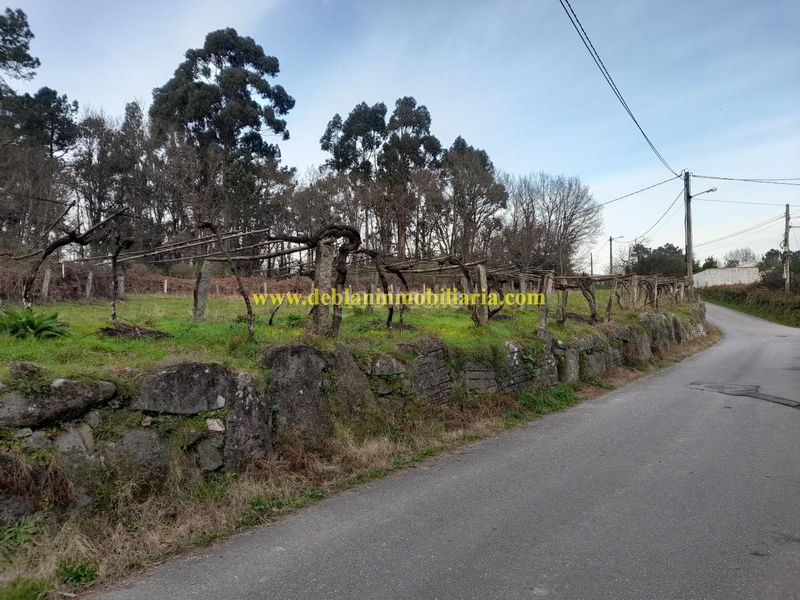 Foto 6126bdac-ba37-4662-8bb6-00509e7a64da. Terreny residencial a Tui