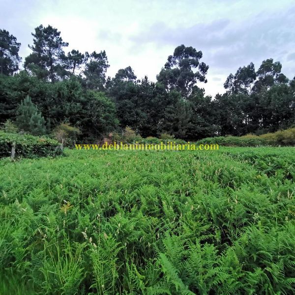 Foto cf4aa058-ab97-480b-86d5-c97fef3bfbe6. Terreny residencial a Tui