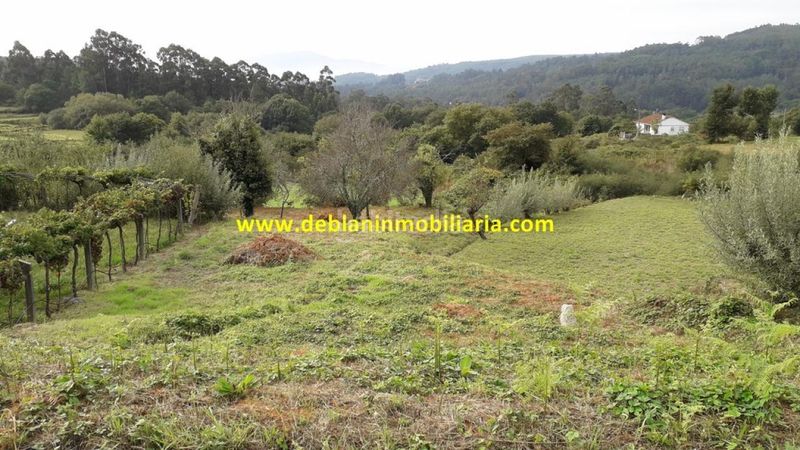 Foto a6b4c2bf-72e0-4043-ba83-d0a3422b3448. Finca rústica a Tui