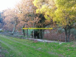 Residential Plot in Tui