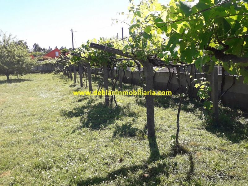 Foto c48c82c4-f927-4b36-9c37-26d4a87d0c86. Finca rústica a Tomiño