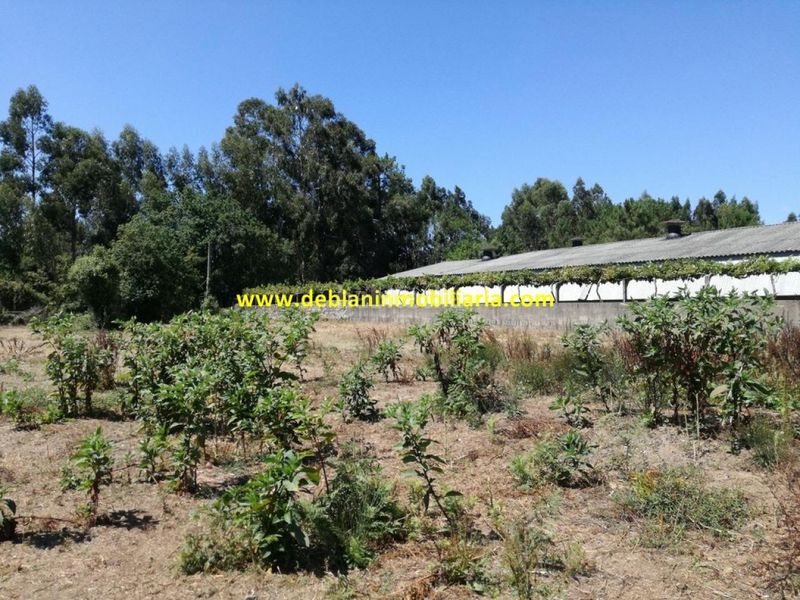 Foto b88edd67-2472-40b6-9030-3851176cb415. Finca rústica a Tomiño