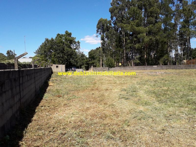 Foto 72ea3d83-c319-44a6-b370-ca2506936649. Finca rústica a Tomiño