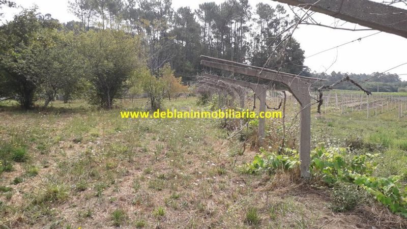 Foto 0aa5ae6d-3eea-4da2-b3c5-ae9ec63250c8. Finca rústica a Tomiño