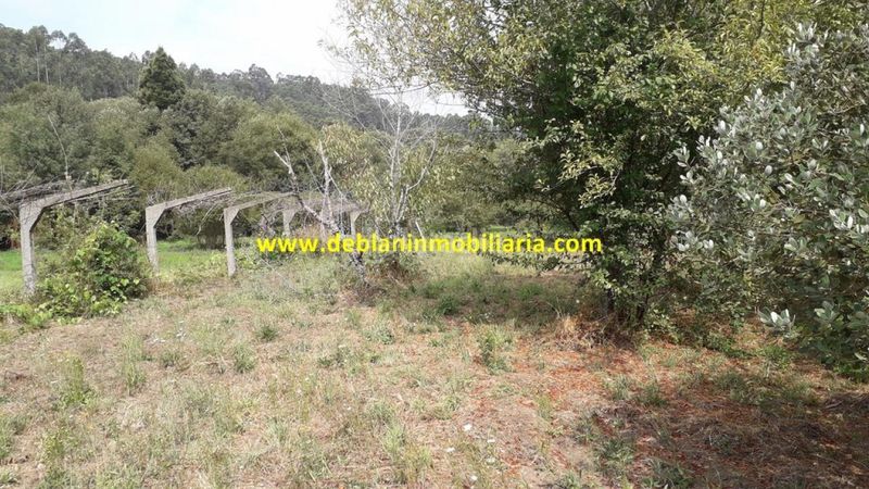 Foto 6b03d264-5726-4818-946f-2432c1ce4587. Finca rústica a Tomiño