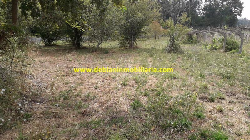 Foto b0a0f4ed-5a71-4225-b582-587231572fca. Finca rústica a Tomiño