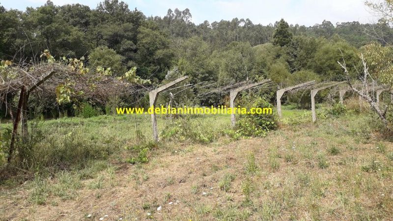 Foto cfd4513a-3fce-4c56-b0a2-d8d93e473b98. Finca rústica a Tomiño