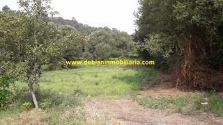 Wohngrundstück in Tomiño