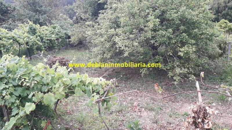 Foto 5b51b54b-3af7-4865-b8ba-98053d270aa8. Terreny residencial a Arbo
