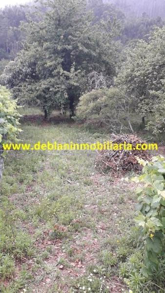 Foto 5be0b8dd-f0ff-4539-a218-28712b1ad653. Terreny residencial a Arbo