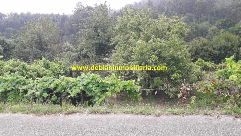 Foto 9ac5e31a-0a51-4f11-adde-310dd9daf23d. Terreny residencial a Arbo