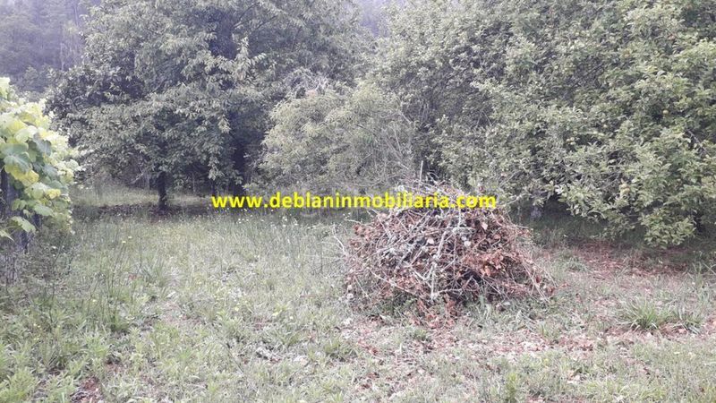 Foto ddf9a2b7-abeb-44ae-b043-285a277ebe1d. Finca rústica a Arbo