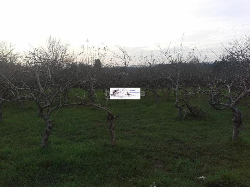 Foto 5ab993b4-367b-4842-a96e-4e00c1e0f9e6. Terreny residencial a Tomiño