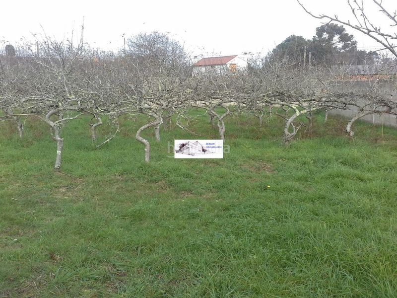 Foto 69e3c838-9da9-4597-be80-7a04acd8c788. Terreny residencial a Tomiño
