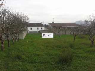 Residential Plot  Carregal de abajo