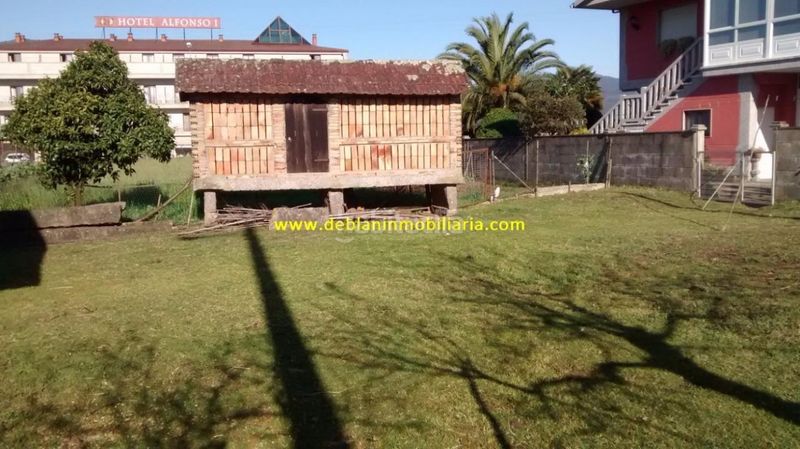 Foto 4caf0e4f-c611-446f-985f-2b2a51aec3b0. Terreny residencial a Tui